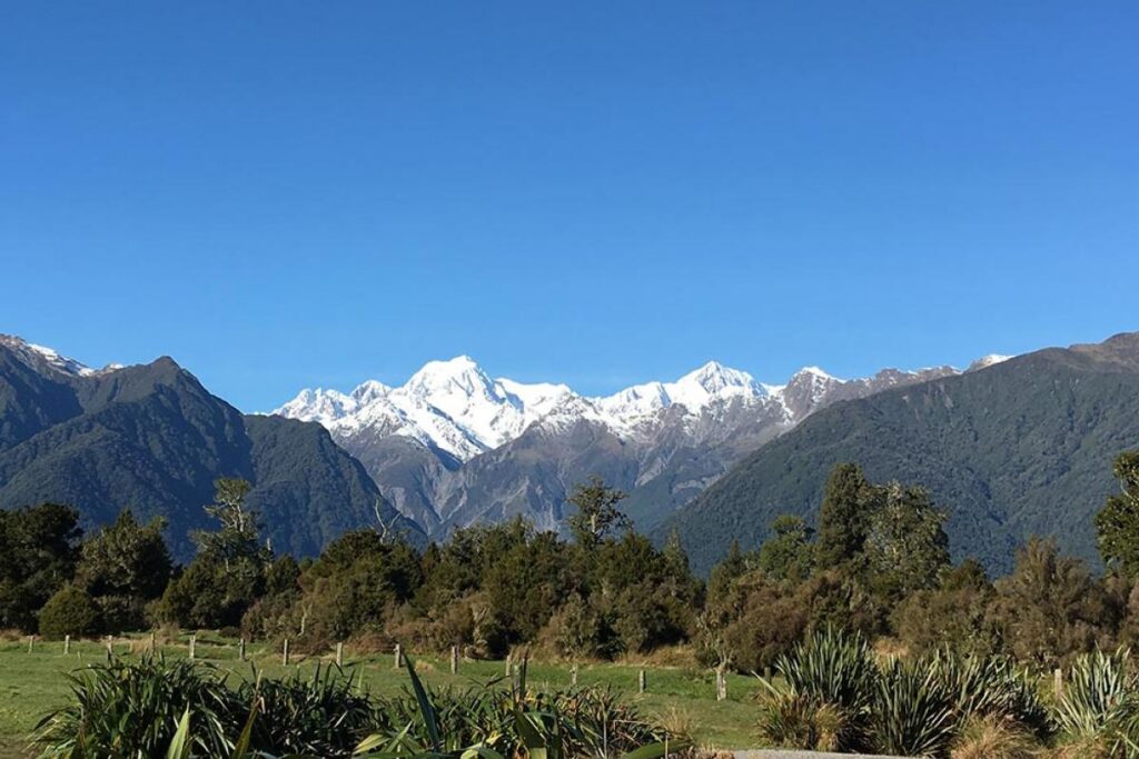 fox-glacier-view