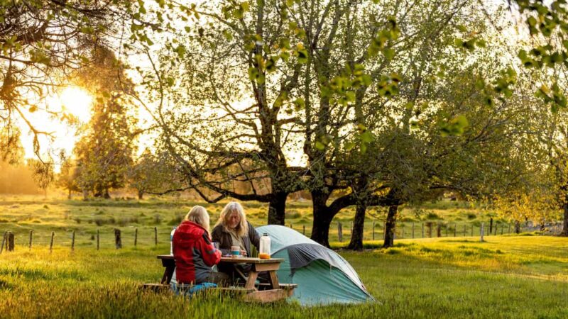 fox-glacier-holiday-park-camping