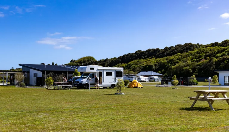 hokitika-kiwi
